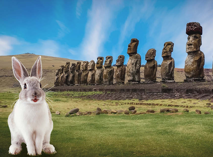A little Easter break
